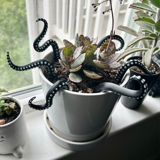 Set of 7 Sea monster Tentacles