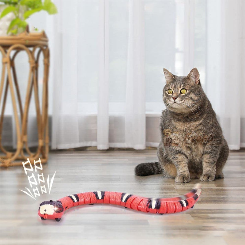 Cat Toy Stimulates Hunting Instinct