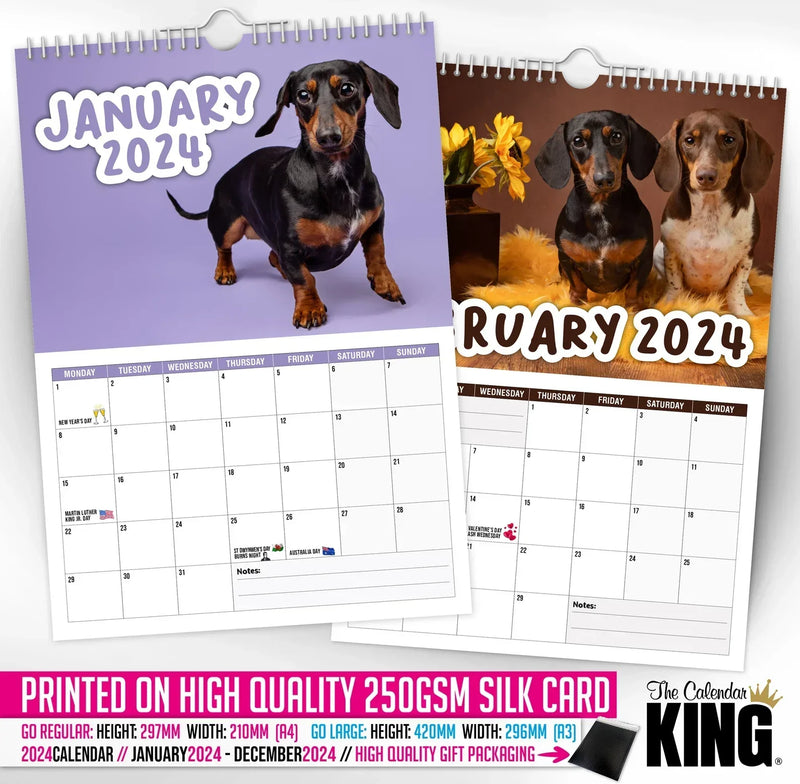 Frekke dachshunder - 2024 Veggkalender