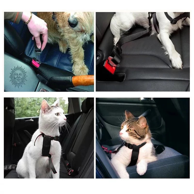 Adjustable Pet Car Seat Belt