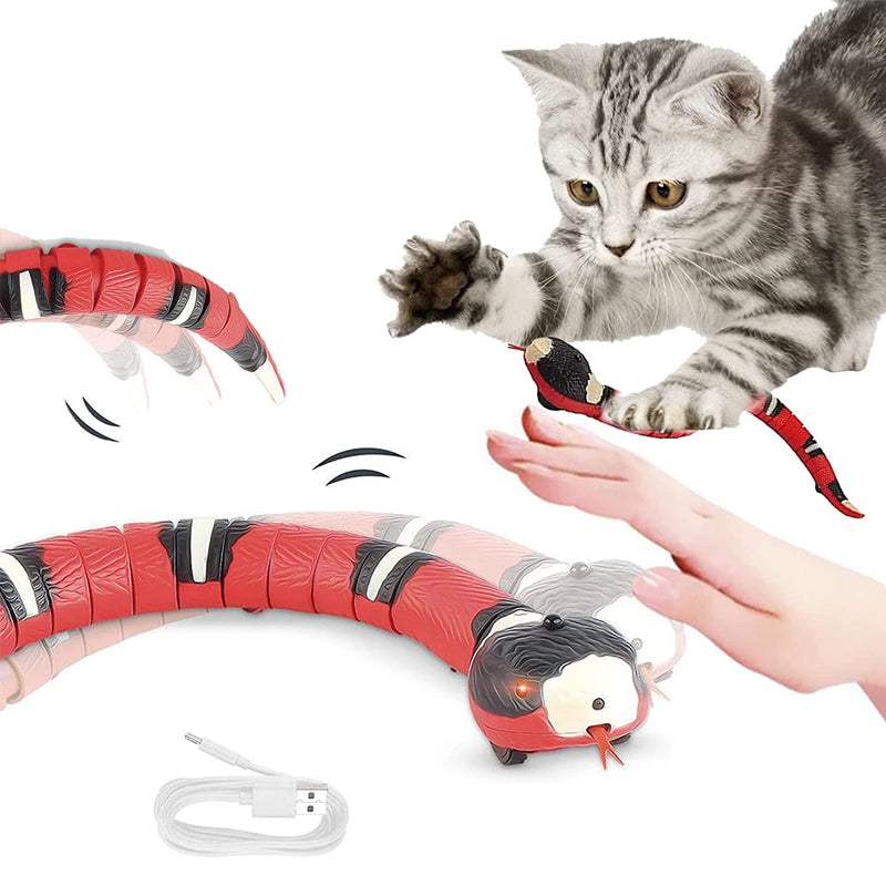 Cat Toy Stimulates Hunting Instinct