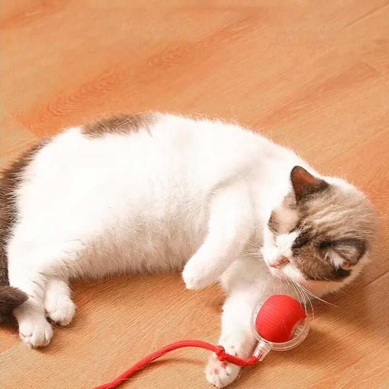 Smart Interactive Cat Ball