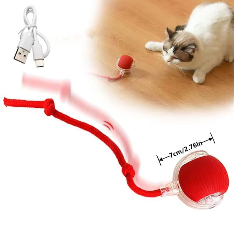 Smart Interactive Cat Ball