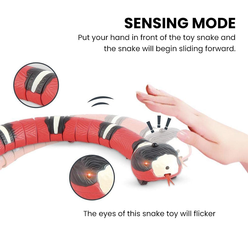 Cat Toy Stimulates Hunting Instinct