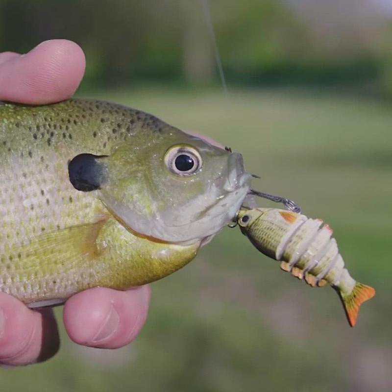 Tiny Fishing Lures