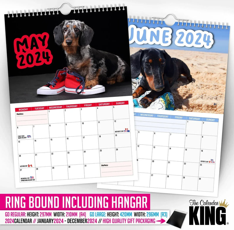 Frekke dachshunder - 2024 Veggkalender