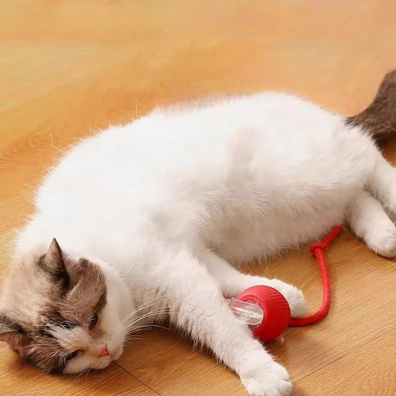 Smart Interactive Cat Ball