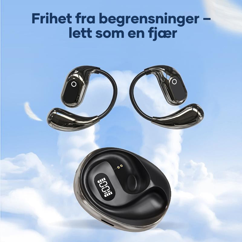 Flerspråklige smarte oversettelses-Bluetooth-ørepropper