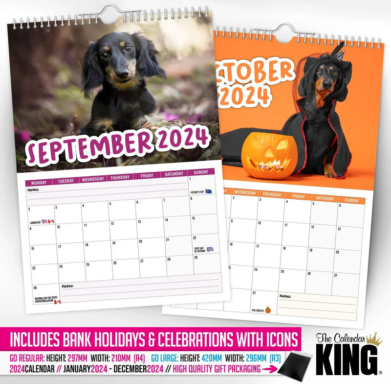 Frekke dachshunder - 2024 Veggkalender