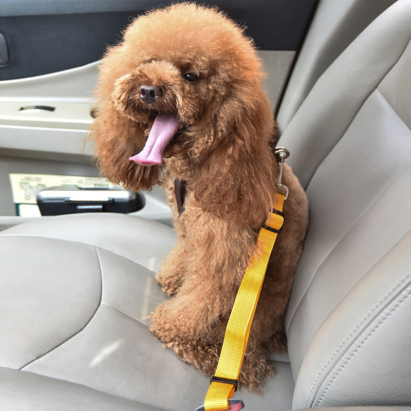 Adjustable Pet Car Seat Belt