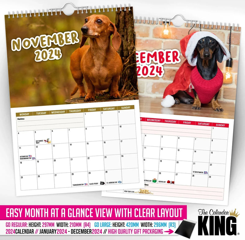 Frekke dachshunder - 2024 Veggkalender