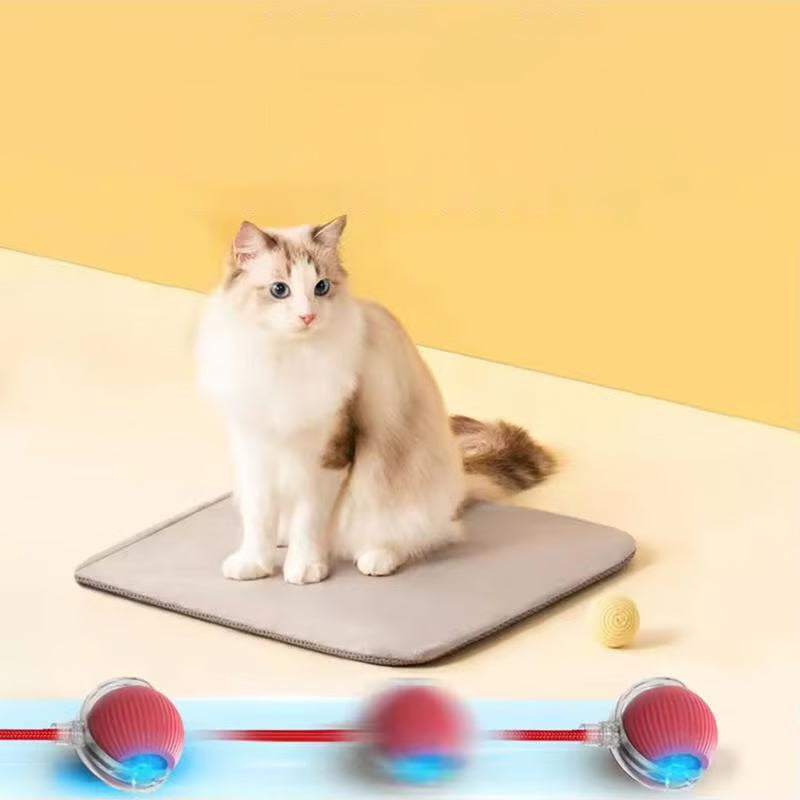 Smart Interactive Cat Ball