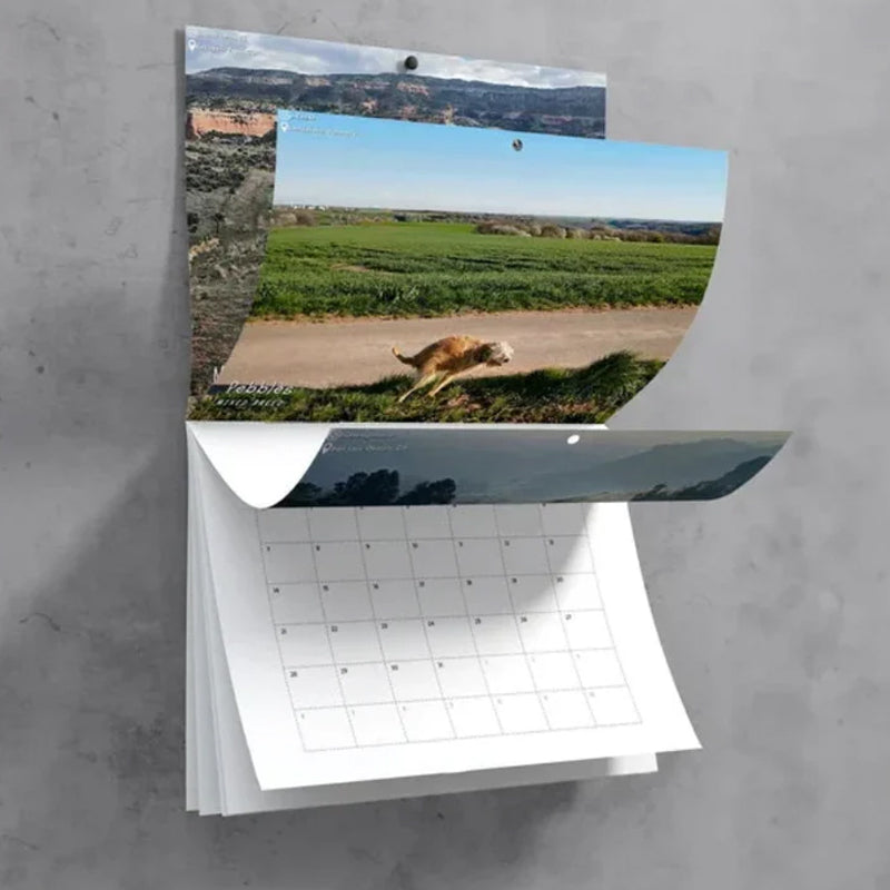 Pooping Pooches Hundekalender