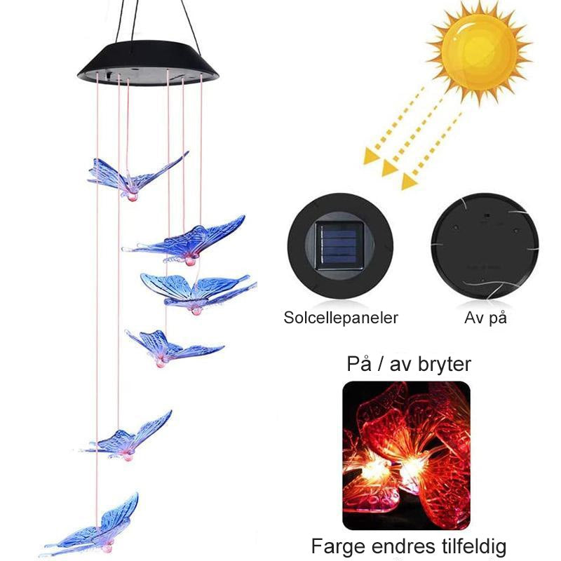 Soldrevet sommerfugllys